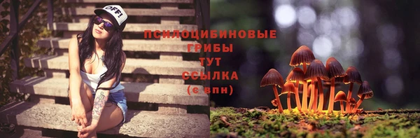 крисы Пересвет