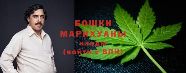 крисы Пересвет