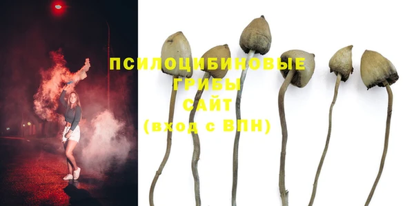 крисы Пересвет