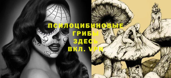 крисы Пересвет