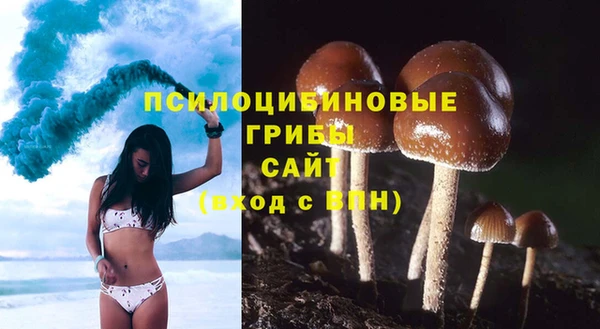 крисы Пересвет