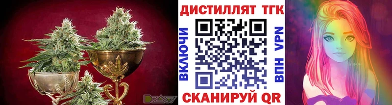 ТГК вейп с тгк  Купить закладки  Светлогорск 