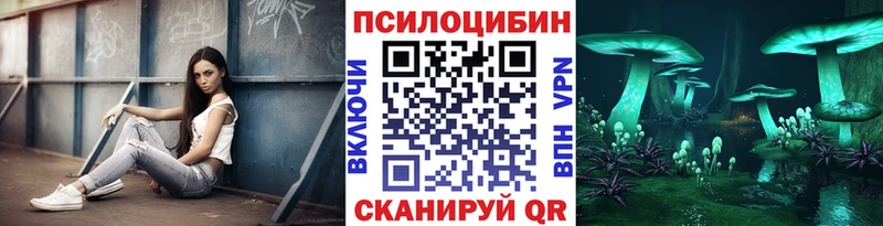 Купить где  Светлогорск  Галлюциногенные грибы Psilocybine cubensis 